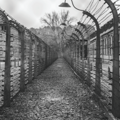 THE HOLOCAUST AND THE NAZI DEATH CAMPS EXPERIENCE